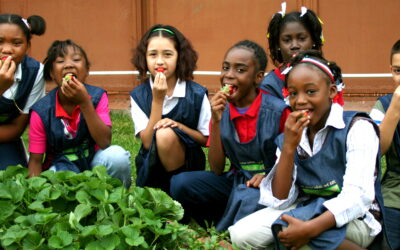 Bring Our Nutrition Education Program To Your School