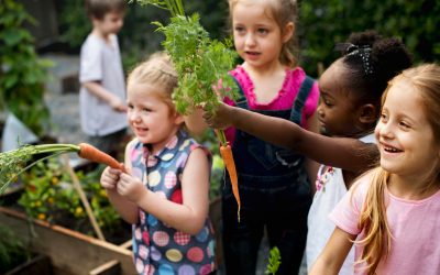 Garden Fun With Your Kids