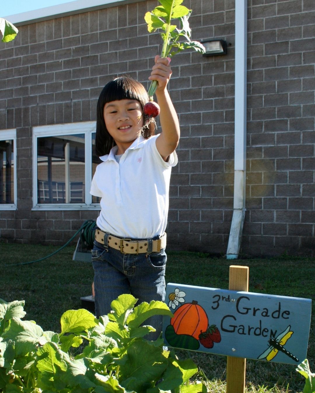 hope-farms-students-gardening Seed-to-Plate Nutrition Education Program