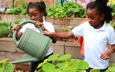 Spring Garden Lessons for the Classroom